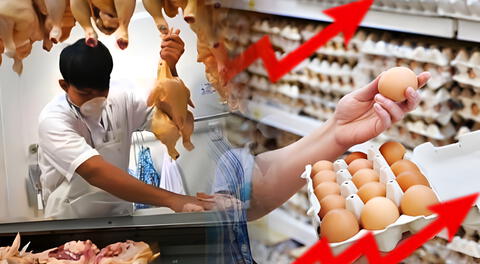 ¿Por qué el precio del pollo está bajando mientras que el del huevo sigue en subida?