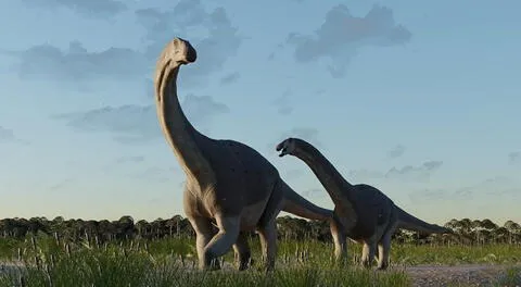 Un nuevo DINOSAURIO fue descubierto en Sudamérica: vivió hace más de 65 millones de años y pesaba 7 toneladas