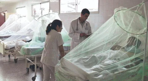 Minsa reporta 24 nuevos decesos a causa del dengue en solo una semana
