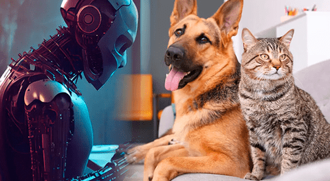 Así lucirían los perros y gatos en el año 2050, según la IA: algunos tendrían extremidades robóticas