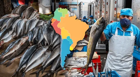 Este es el país que lidera el consumo de pescado en Latinoamérica: supera a Chile y Venezuela