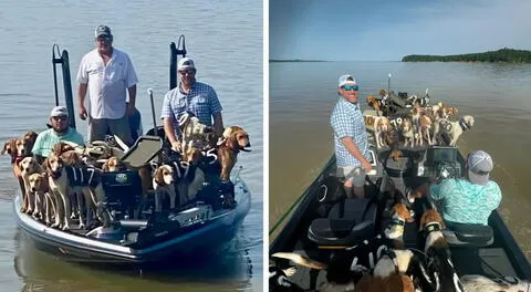 Conmovedor rescate: pescadores salvan a 38 perritos que flotaban perdidos en el lago