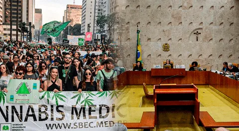 Tribunal de Brasil despenaliza el consumo de marihuana: permite posesión por debajo de los 40 gramos