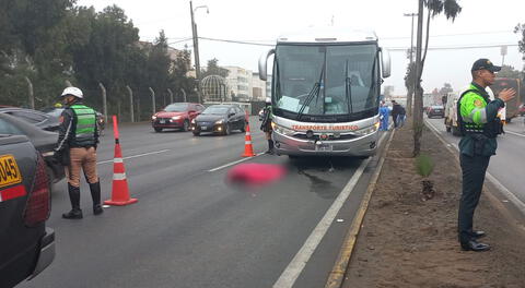 Panamericana sur: un fallecido tras accidente que involucra a bus de turismo