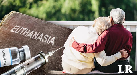 Pareja de ancianos neerlandeses se aplicó la eutanasia para morir juntos: se conocieron en la infancia