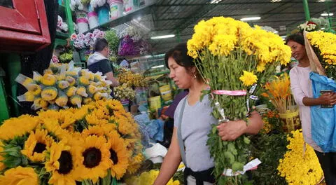 ¿Dónde comprar flores amarillas en Lima? Los 3 mercados imperdibles para el 21 de septiembre