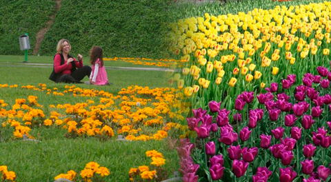 Día de la Primavera 2024: ¿por qué se celebra HOY 23 de septiembre en el Perú?