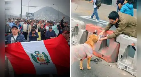 ‘Firulais’ acompañó a protestantes durante paro de transportistas y conmueve: “Le invitaron agua”