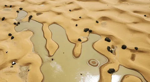 El Sahara, el desierto cálido más grande del mundo, se inundó por primera vez en décadas debido a un raro fenómeno