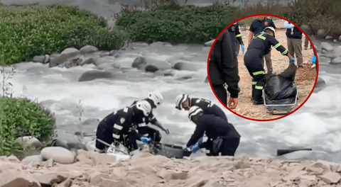 Hallan cadáver de hombre en la ribera del río Rímac: niños encontraron restos mientras jugaban