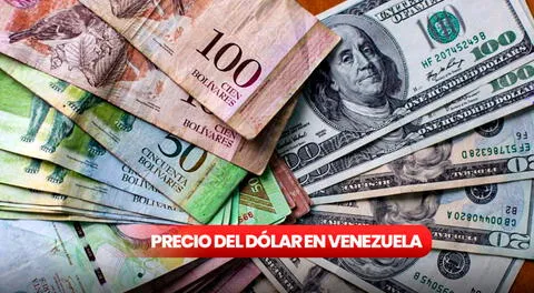 Precio de Monitor Dólar HOY, martes 12 de noviembre: cuál es la cotización del dólar en Venezuela en el mercado paralelo