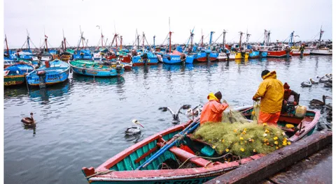 Tardanza de PRODUCE en reglamentar la ley  de pesca artesanal favorece a la pesca ilegal