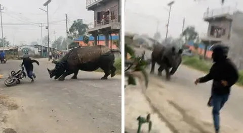 Motociclista se salva de ser embestido por rinoceronte y usuarios quedan atónitos: “¿Jumanji?”