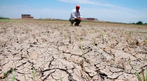 El fuerte pedido de una agricultora de Sullana a Dina Boluarte: "Ya terminó el APEC, dedíquese al norte"