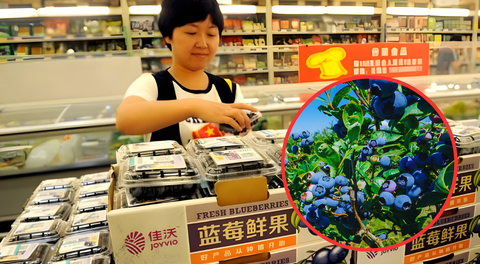 Esta fruta peruana es la más solicitada en China, donde se venden más de 20.000 cajas al día: Perú la exporta por US$247 millones