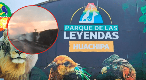 Incendio forestal en el Parque de las Leyendas puso en peligro animales y trabajadores de la sede Huachipa