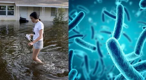 Alerta en Florida: aumentan infecciones por bacteria 'come carne' tras huracanes Helene y Milton en Estados Unidos