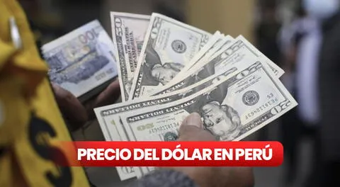 Precio del dólar hoy, domingo 24 de noviembre, en casas de cambios, bancos y otros canales