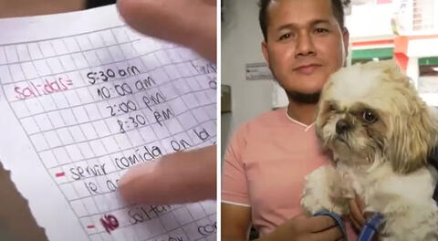 Taxista encontró a perrito abandonado con una nota en su auto: caso conmovió a miles