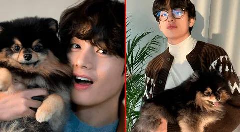 Taehyung de BTS se despide emotivamente de su mascota: “Ha emprendido un largo viaje hacia las estrellas caninas”