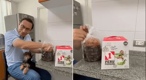 Martín Vizcarra se volvió tendencia en TikTok al presentar su nuevo panetón con curioso nombre: 'El Lagarto'