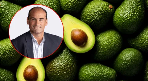 Nuevo presidente de ProHass resalta el impacto de la palta peruana a nivel mundial: "Se ha convertido en un jugador muy importante"