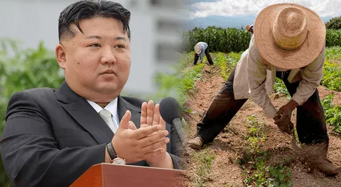 La nueva medida de Kim Jong-un para las parejas que rompan el matrimonio en Corea del Norte: trabajos forzados en el campo