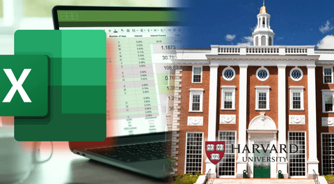 Las 10 funciones de Excel que todo profesional debe saber sí o sí, según Harvard: se aprende en menos de 2 horas