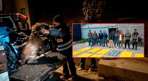 La policía con la ayuda de un can incautó 348 kilos de cocaína trasladados desde el Vraem a Cusco