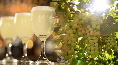 Día del Pisco Sour 2025: ¿por qué se celebra cada primer sábado de febrero? Origen e historia de la bebida emblema del Perú