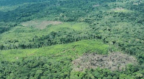 Líderes indígenas exigen al Mincul creación de la Reserva Yavarí Mirim