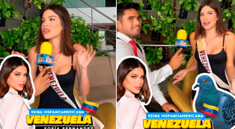 Candidata venezolana del Reina Hispanoamericana 2025 genera polémica al decir que los peruanos consumen paloma: “Allá comen eso”