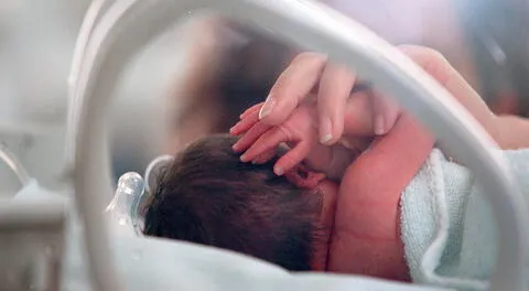 Abandonan a bebé nacido mediante gestación subrogada en Argentina: madre biológica francesa nunca apareció