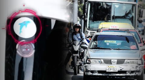 ¿Qué significa el sticker del delfín? La señal con la que extorsionadores clasifican a los colectiveros de la avenida Arequipa