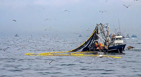 Ley de Extinción de Dominio: pescadores industriales anuncian marcha al Congreso