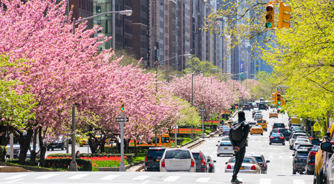 Se acabó el invierno en Nueva York: ¿cuándo empieza el primer día de primavera este 2025?