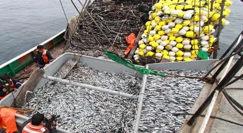 Autorizan primera temporada de pesca 2025 en zona centro-norte con cuota de 3 millones de toneladas, una de las más altas en 10 años