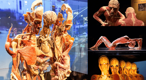 Body Worlds, la exposición con cadáveres reales que desata polémica por mostrar posibles cuerpos de desaparecidos