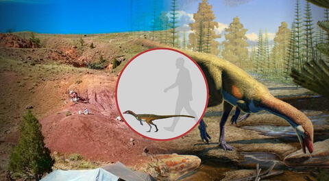 Hallazgo fósil pone en debate el origen de los dinosaurios: científicos encuentran el más antiguo de Laurasia y tenía el tamaño de un pollo