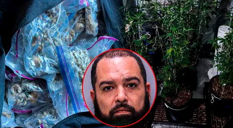 Hombre irrumpe desnudo a una casa familiar con un trozo de madera en Florida: policía descubrió que vivía en una casa de drogas y armamento