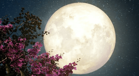 Calendario lunar de mayo: cuándo habrá luna llena este mes y ver todas las fases lunares
