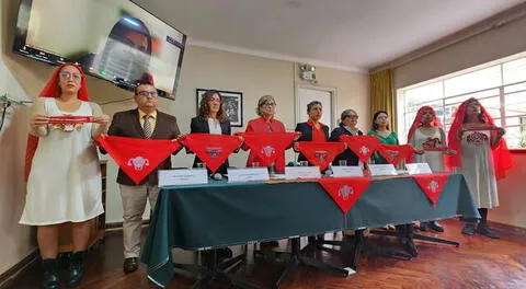 Corte IDH: Perú debe garantizar que ONG DEMUS pueda representar a víctimas de esterilizaciones forzadas