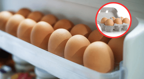 ¿Cómo conservar mejor los huevos en casa? expertos revelan las claves para evitar errores comunes en su almacenamiento