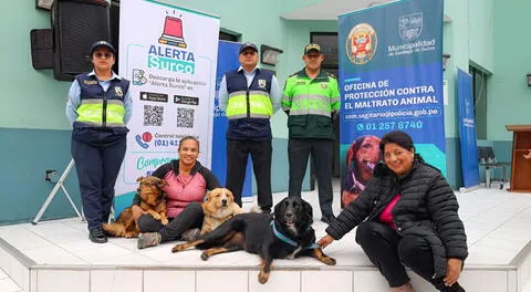 La exclusiva oficina que albergará denuncias de maltrato animal en comisaría de Santiago de Surco