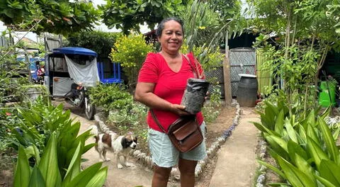 “Ecocanje”: Pucallpa impulsa el reciclaje con intercambio de residuos por plantas y abono