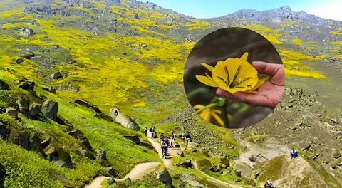 El reverdeciente jardín en las alturas de San Juan de Lurigancho que se convertiría en nuevo Patrimonio Cultural de la Nación