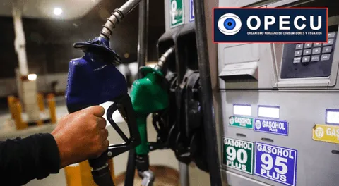 Bajan precios de gasoholes y gasolinas en Petroperú y Repsol, pero sube el diésel vehicular y el GLP no varía