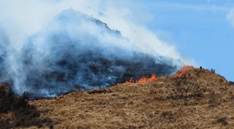 Cusco perdió más de 111 mil hectáreas de bosque en los últimos años