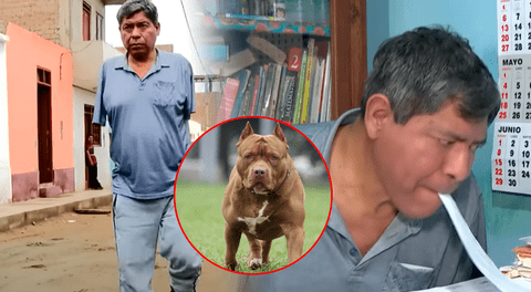 Peruano perdió los dos brazos y estuvo un mes en coma tras brutal ataque de 3 pitbulls: dueños no se hacen responsables