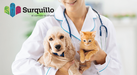 Surquillo lanza campaña veterinaria gratuita para perros y gatos: ¿Qué servicios ofrecerán el 14 de junio?